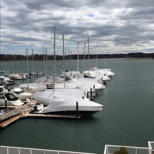 Meet your Posher, Caroline